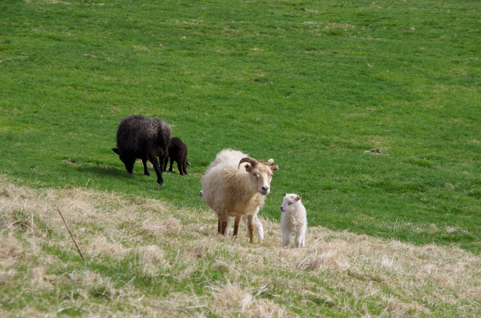 Vinnum okkur út úr vandanum