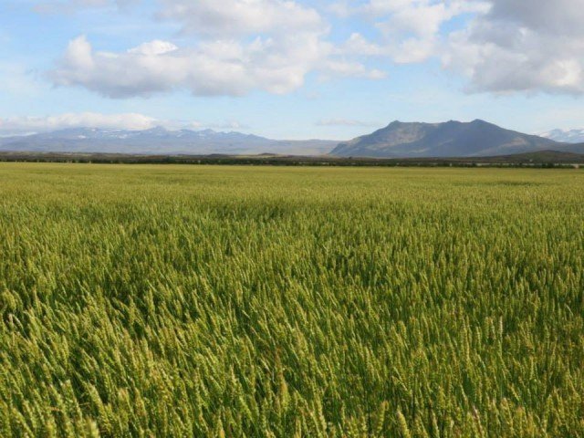 Fundað um áburðarmál