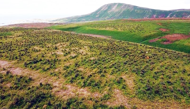 Hvað gæti verið sameiginlegt með Votlendissjóði og útfararstofu?