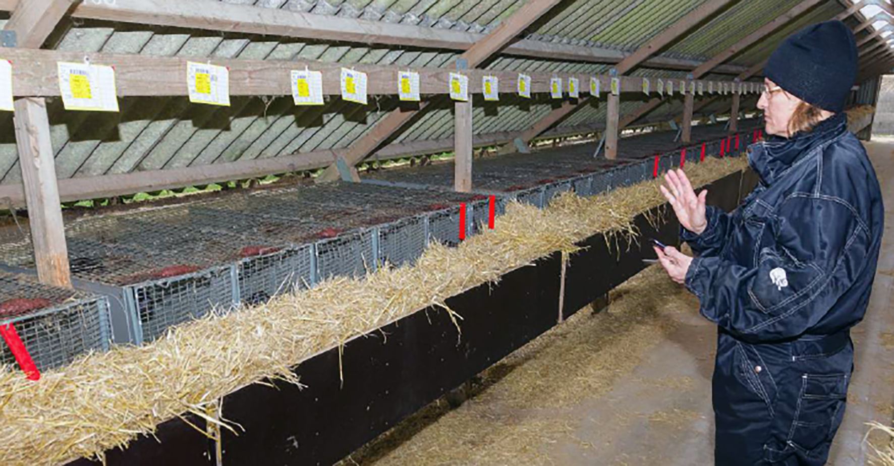 WelFur breytir ekki starfsvenjum