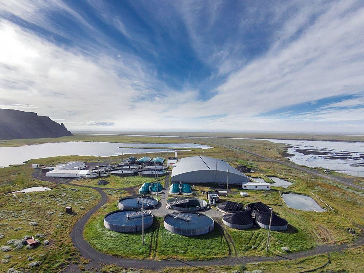 Tillaga að deiliskipulagi fiskeldis í Núpsmýri