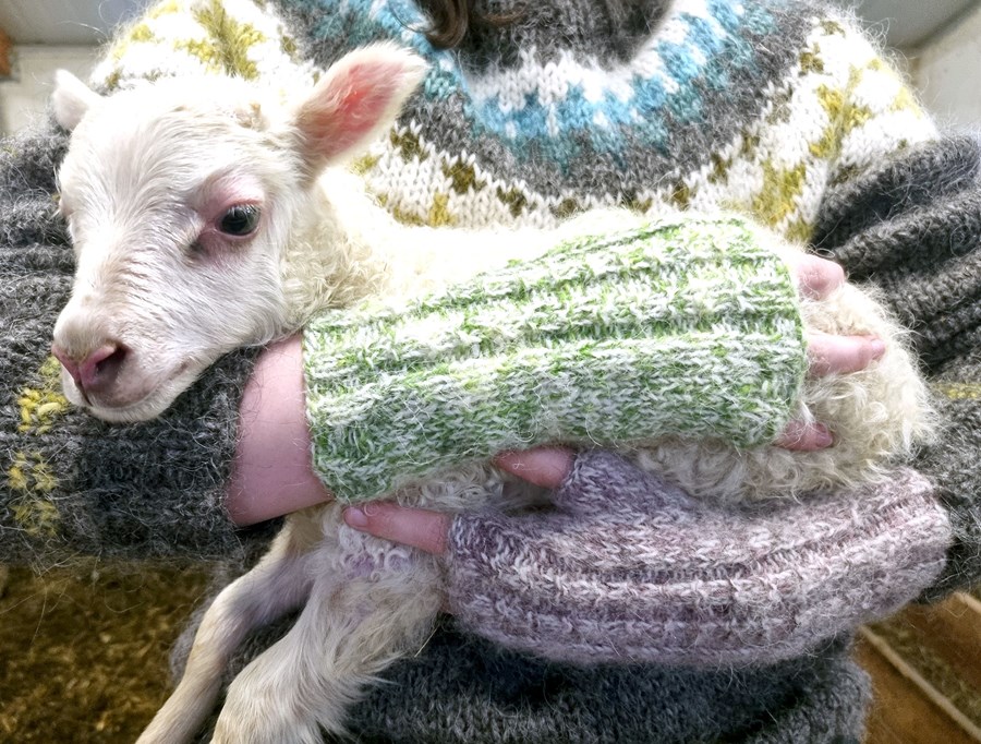 Grifflur fyrir frjálsa fingur