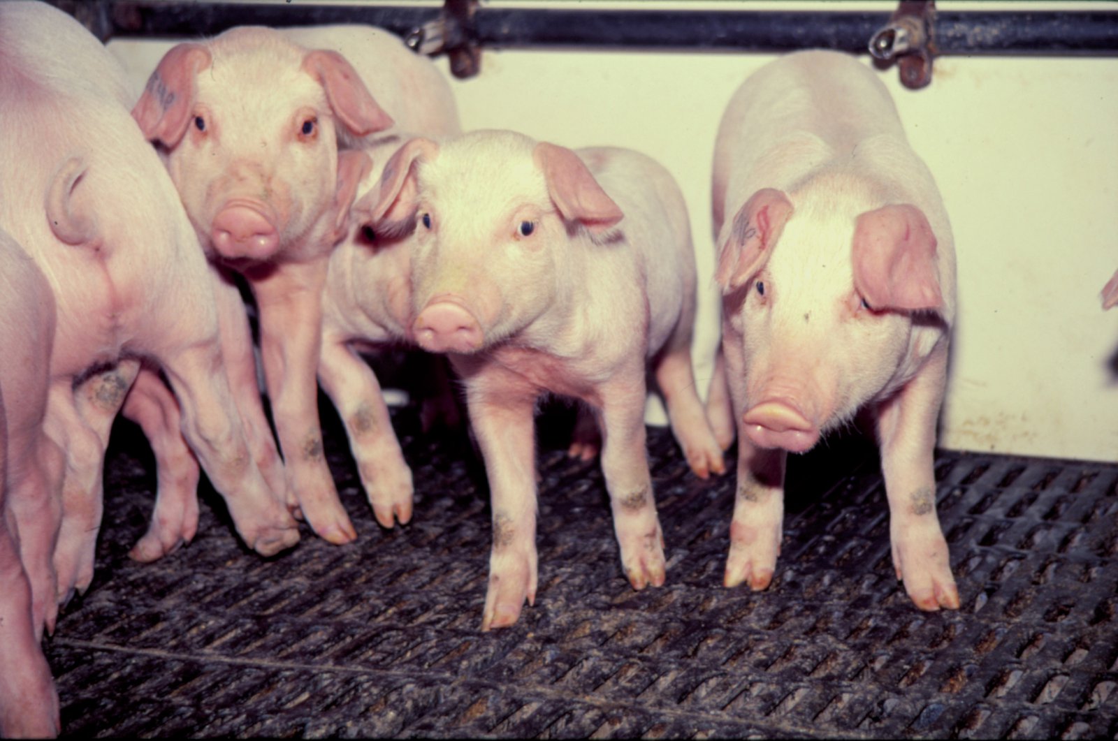 Aðgerða krafist strax vegna neyðarástands