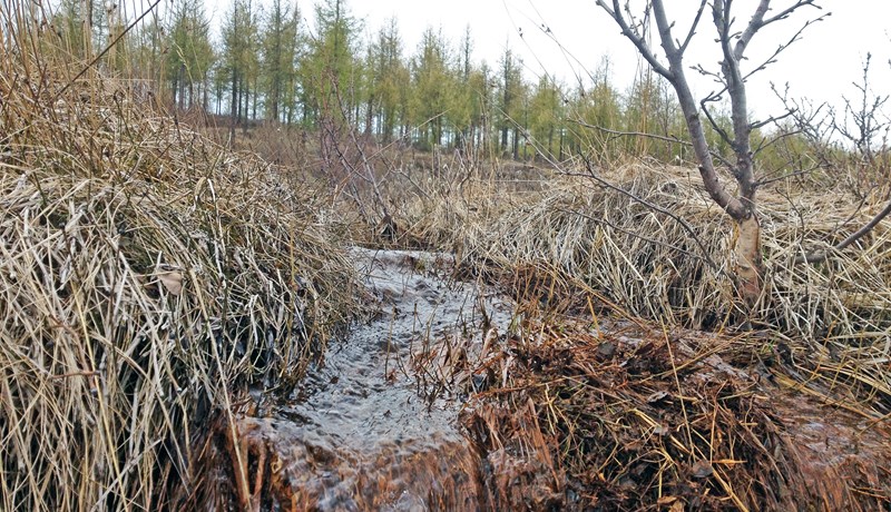 Slagur út í loftið