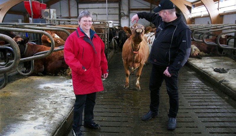 Lykillinn að góðri nyt eru góð hey