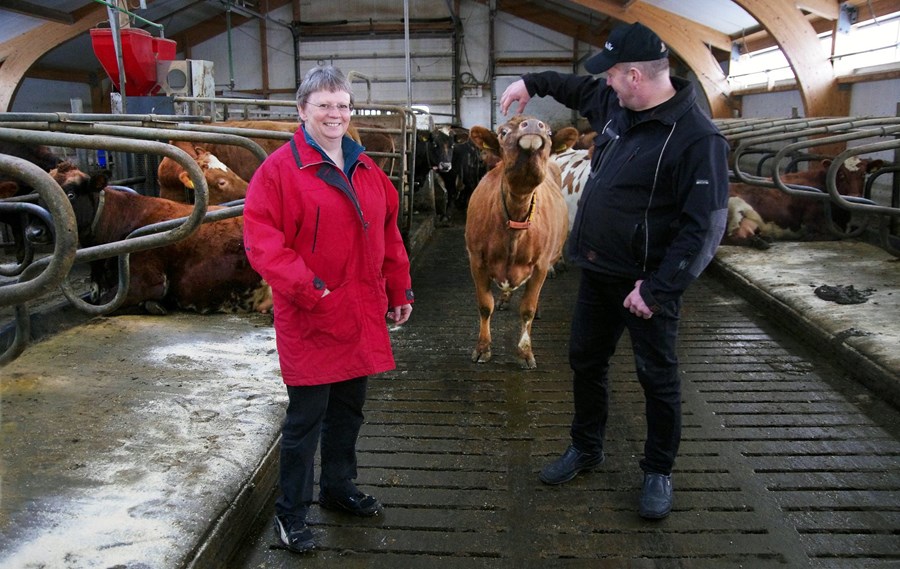 Lykillinn að góðri nyt eru góð hey