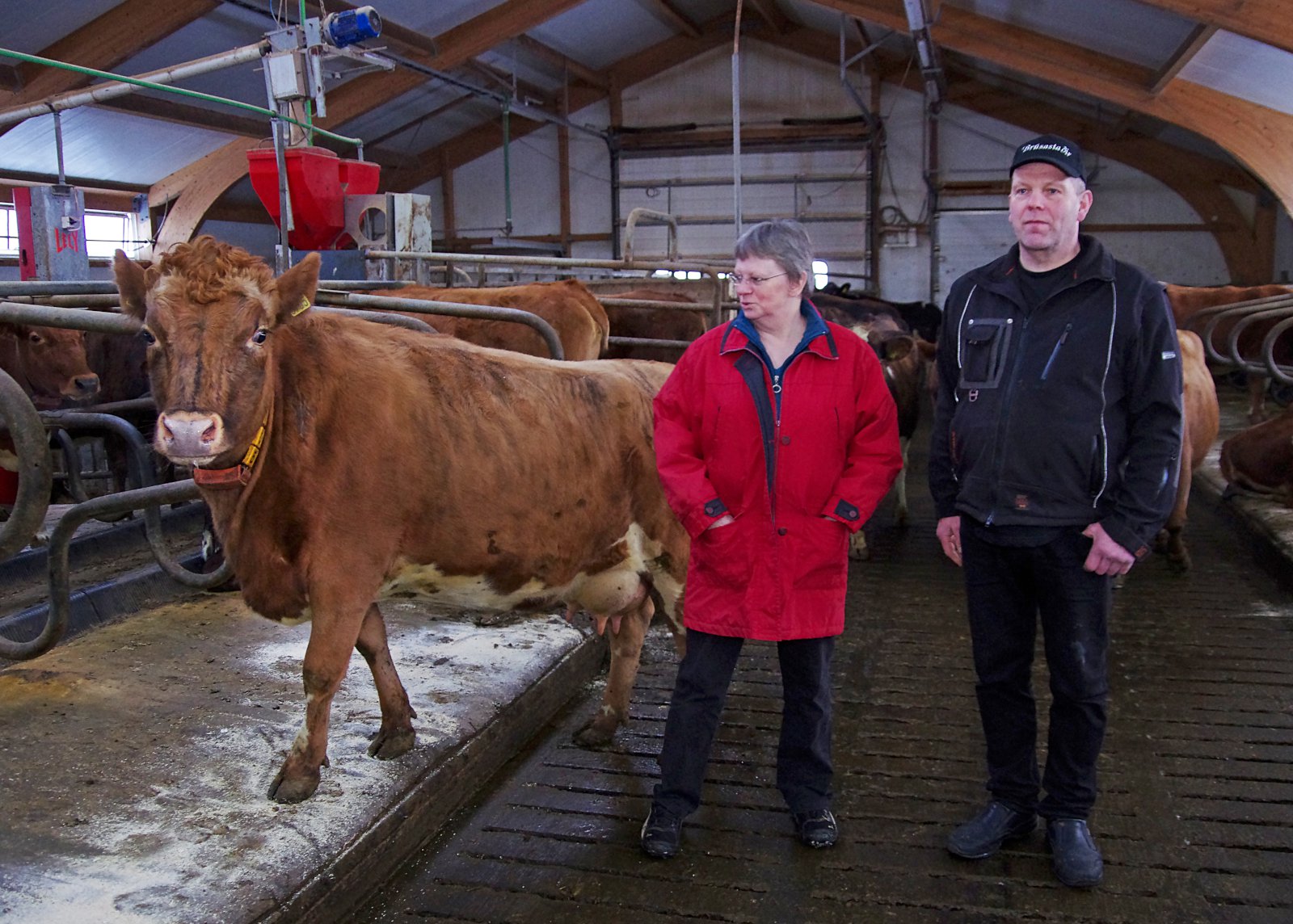 Með hæstu meðalafurðir kúabúa landsins á síðasta ári