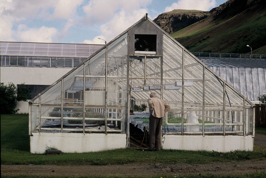 Styrkir til garðyrkjubænda vegna lýsingar í gróðurhúsum