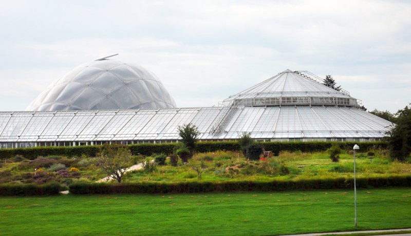 Tveir garðar í Árósum