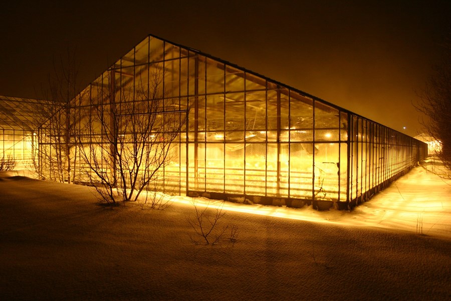 Hagnaður hjá Sölufélaginu