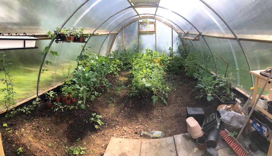 Í gróðurhúsum án upphitunar bjóðast margir möguleikar í matjurtarækt.