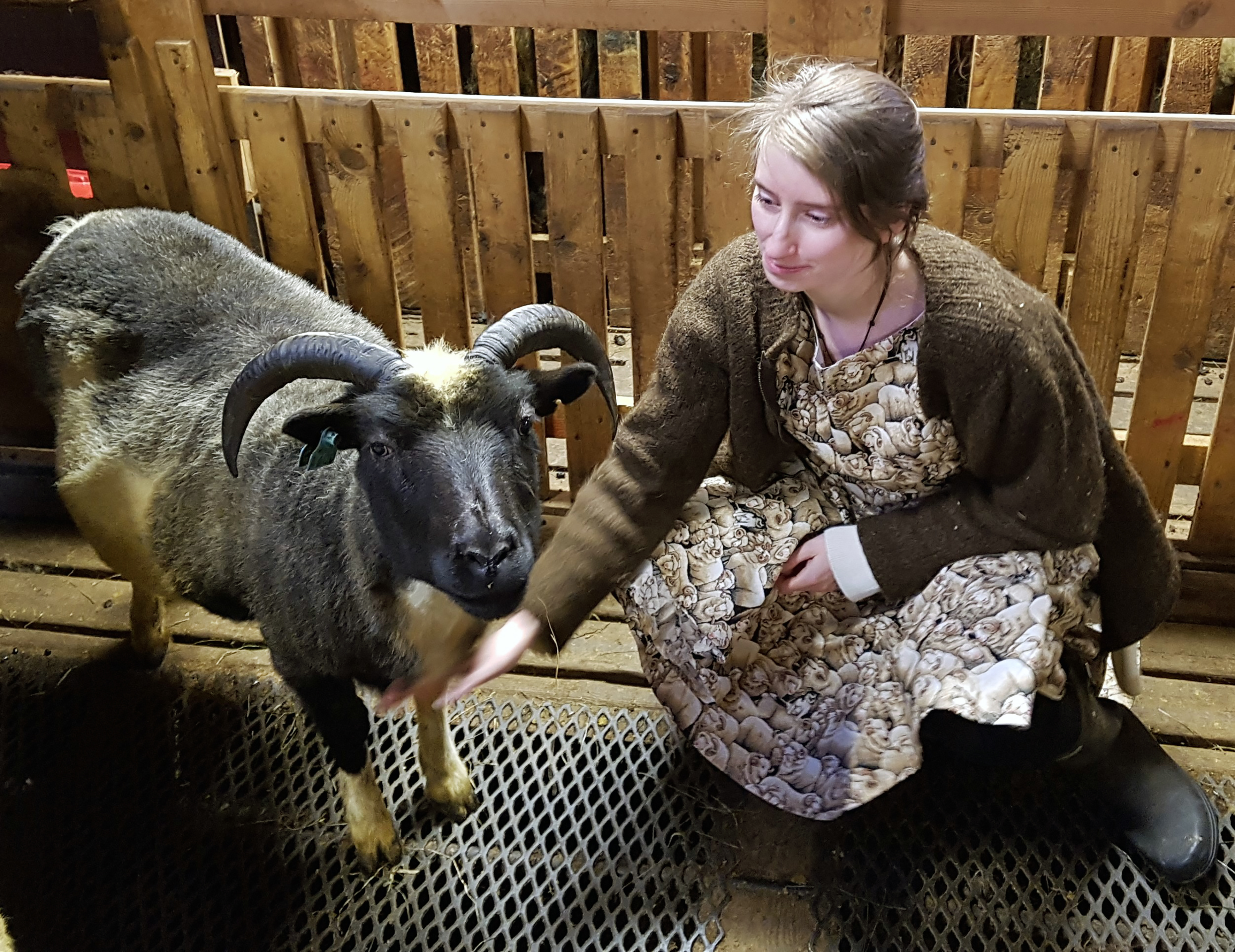 „Fólk með forystufé elskar að tala við forystufé og um forystufé“