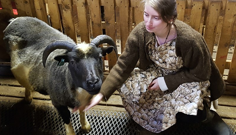 „Fólk með forystufé elskar að tala við forystufé og um forystufé“