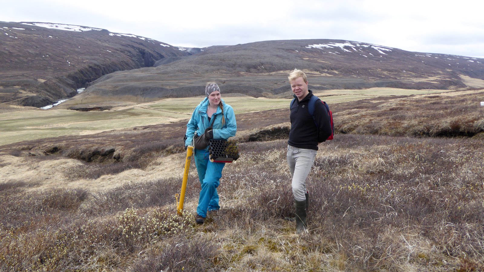 Víða ekki hægt að koma niður plöntum vegna klaka og bleytu