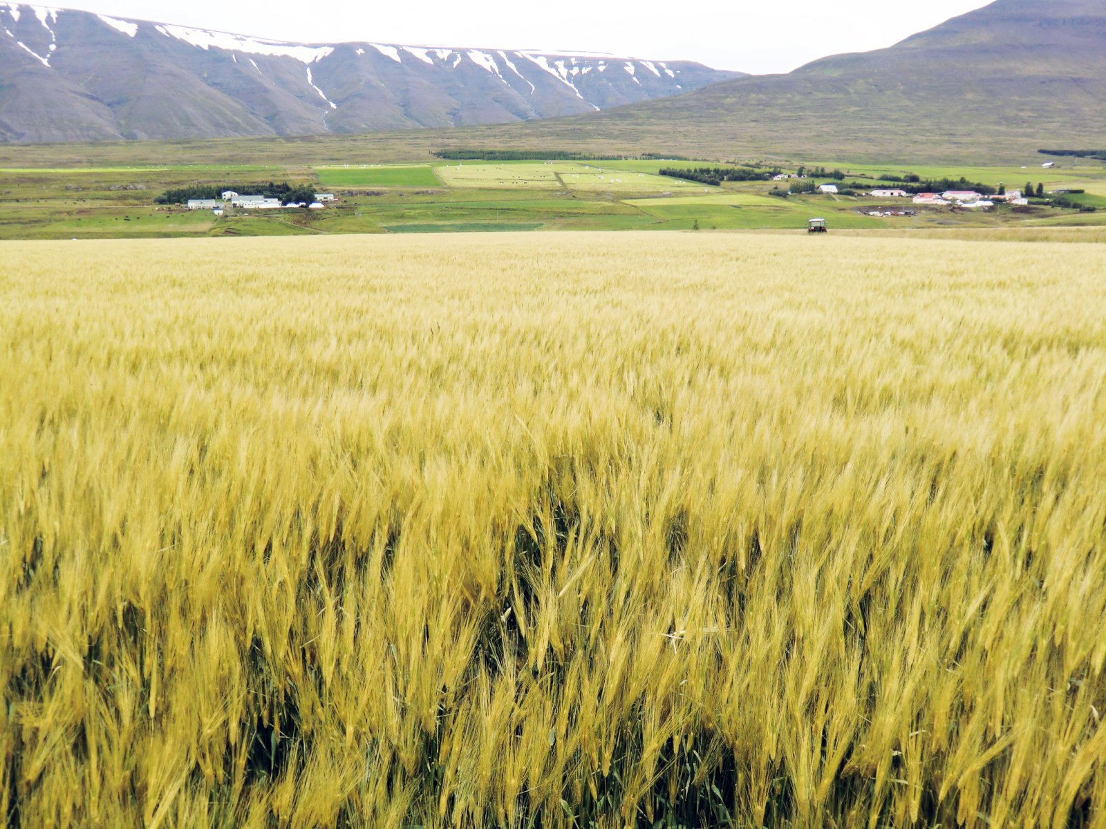 Ágætt á Suðurlandi en afleitt í Eyjafirði
