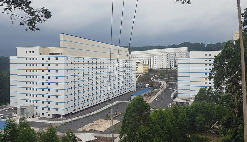 Kínverjar stefna á að verða sjálfum sér nægir um svínakjöt á næstu 5 árum