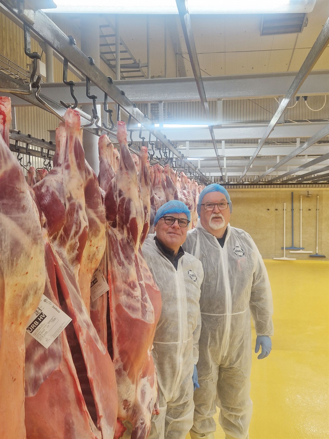 Hafa lengi rýnt í vöðva og fitu lambakjöts