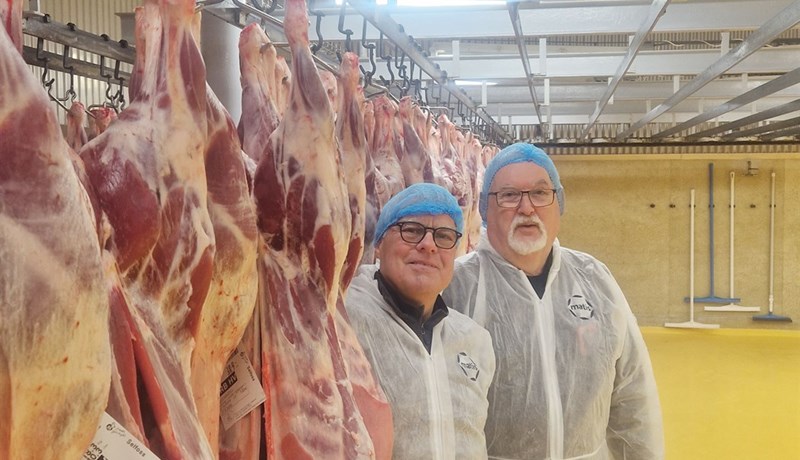 Hafa lengi rýnt í vöðva og fitu lambakjöts