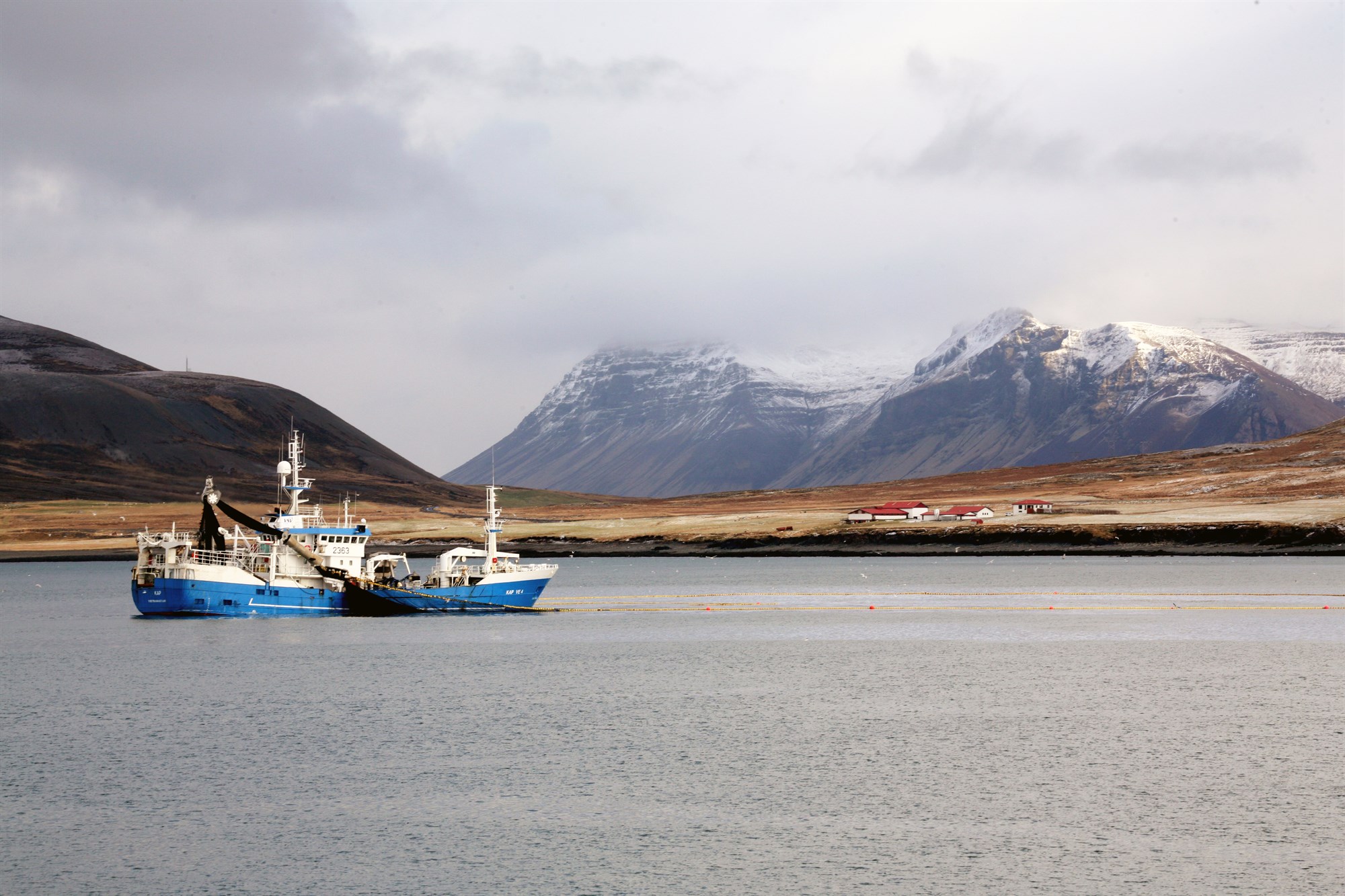 Hremmingar síldarinnar