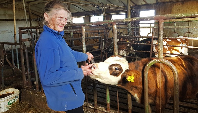 Hefur bara komið á Vestfirðina á Íslandi, aldrei neitt annað, hvað þá til Vestmannaeyja eða útlanda