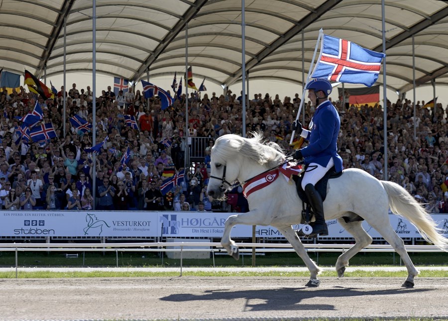 Samstarf þeirra Guðmundar Björgvinssonar og Hrímnis frá Ósi hefur verið farsælt. Þeir hafa unnið til fjölda verðlauna heima á Íslandi og luku nú ferli sínum saman með heimsmeistaratitli í fjórgangi. Full stúka áhorfenda hyllti Guðmund og Hrímni að lokinni