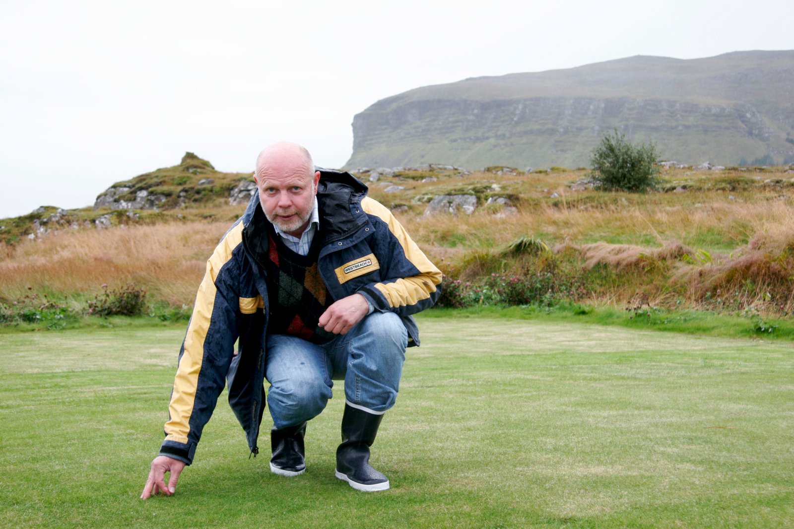 Uppgræðsla og beit