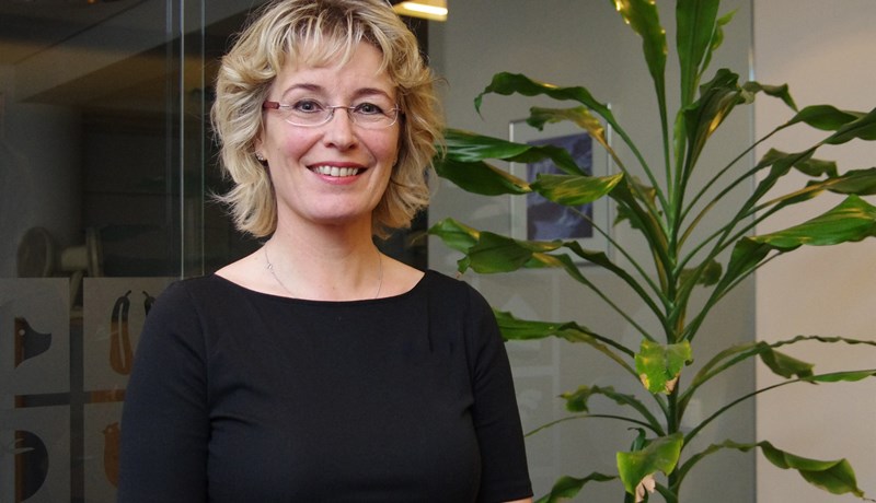 Heildarumgjörð garðyrkjunámsins er brothætt