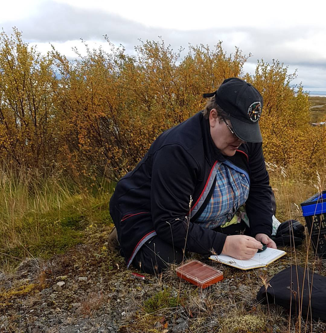 Sveppamý gerir usla nálægt Akureyri