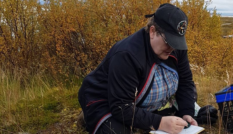 Sveppamý gerir usla nálægt Akureyri