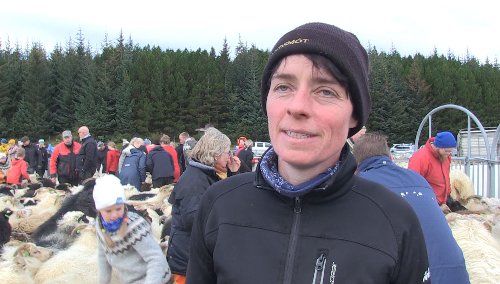 Bændur í Biskupstungum pirraðir vegna lélegra varnargirðinga og ristarhliða á milli varnarhólfa