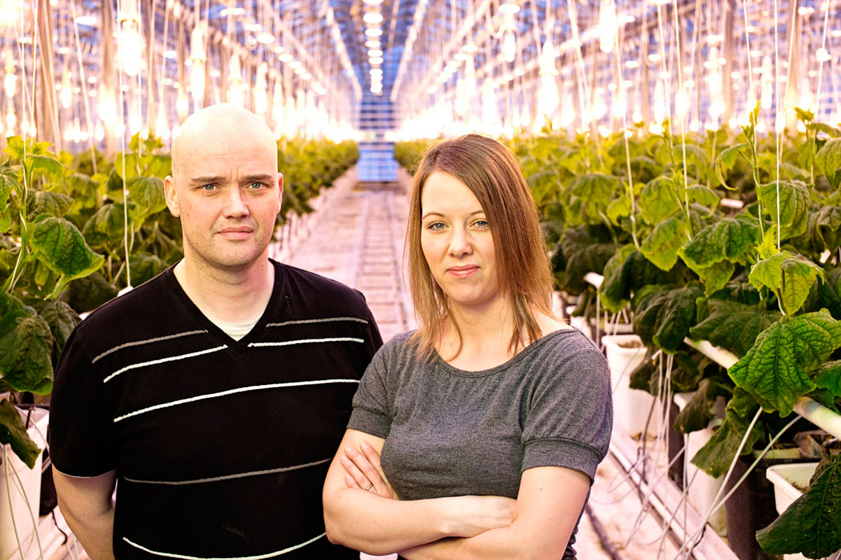 Íslenskar garðyrkjustöðvar stækka um nær 18 þúsund fermetra