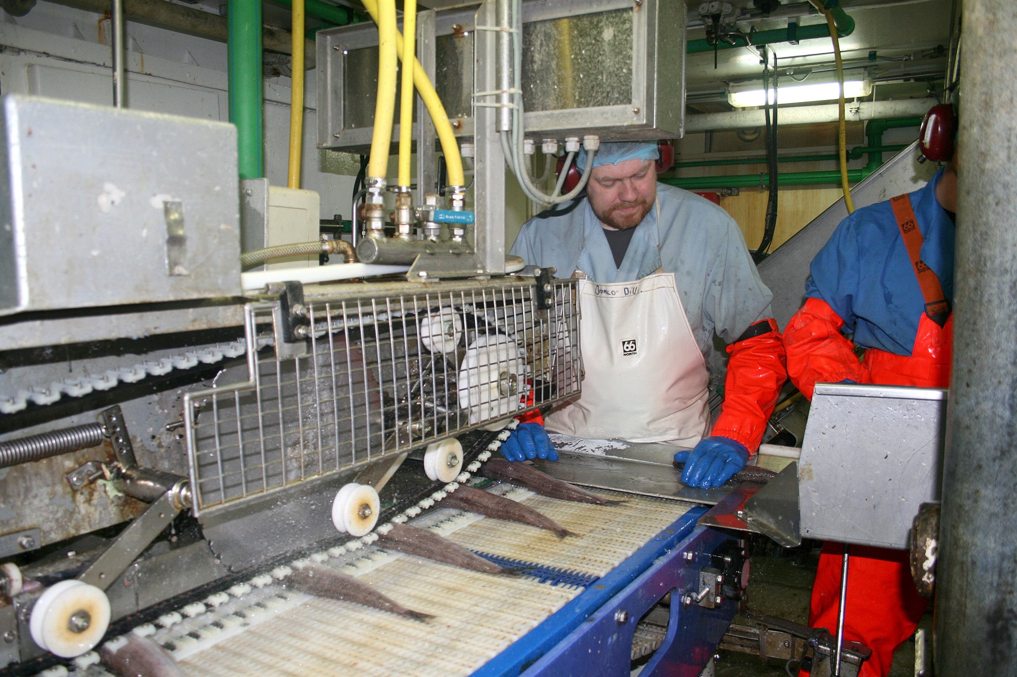 Með öllu óætur og jafnvel eitraður!