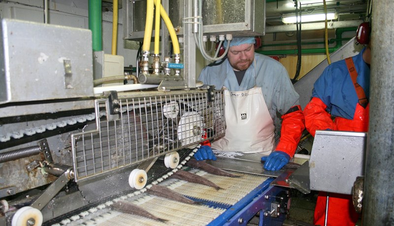 Með öllu óætur og jafnvel eitraður!