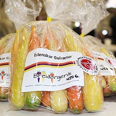 Ekki mögulegt fyrir mig að byrja vottunarferlið strax nema vegna styrksins