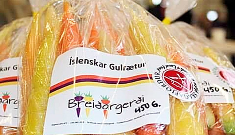 Ekki mögulegt fyrir mig að byrja vottunarferlið strax nema vegna styrksins