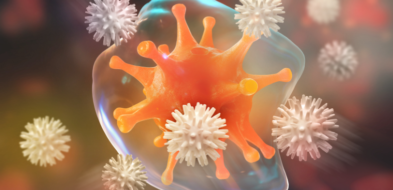 Kjúklinga- og eggjabændur áhyggjufullir vegna Gumboro-veiru