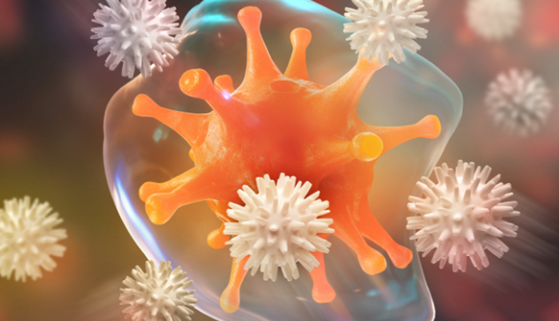 Kjúklinga- og eggjabændur áhyggjufullir vegna Gumboro-veiru