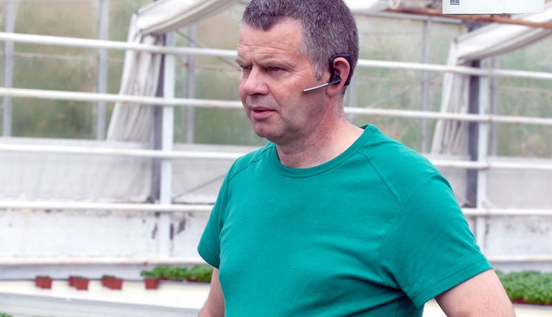 Orkupakki 3 mun stórskaða íslenska garðyrkju, heimili og allt atvinnulíf