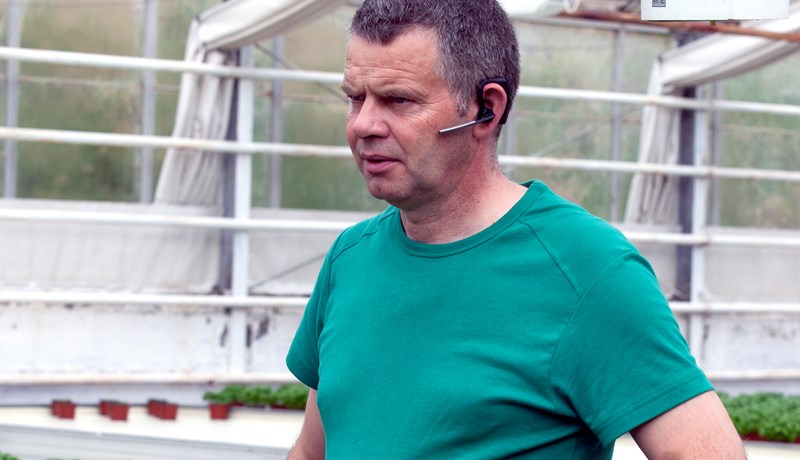 Borðleggjandi að íslensk garðyrkja mun leggjast af í þeirri mynd sem hún er nú