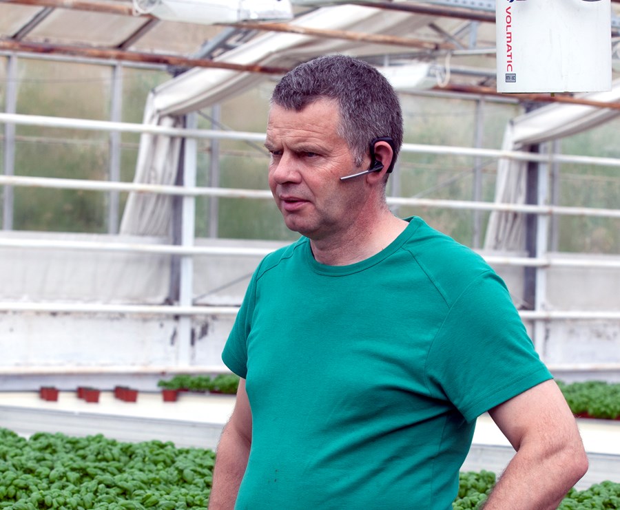 Gunnar Þorgeirsson, formaður Sam­bands garðyrkjubænda.