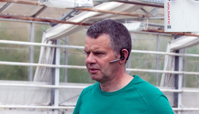 Grænkerum og veganistum fjölgar í takt við neyslubreytingar