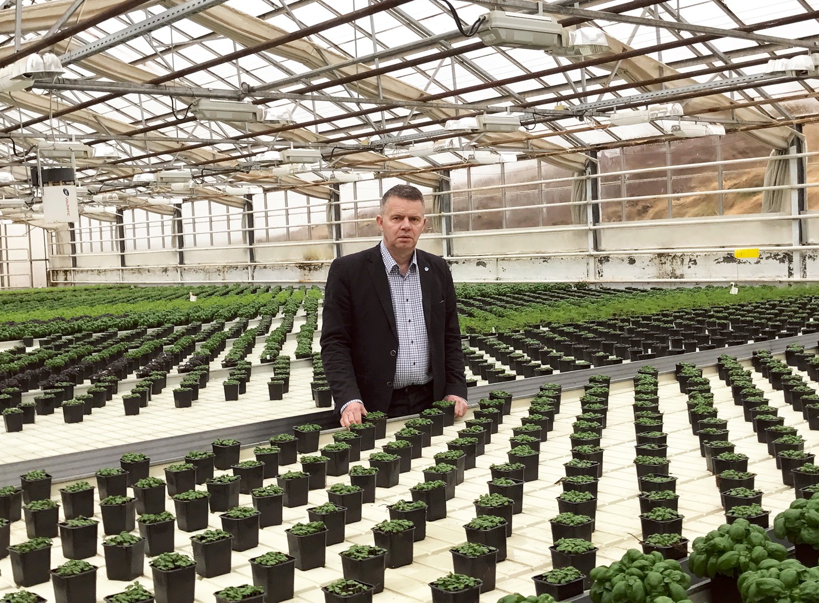 Mikil sala á afskornum blómum fyrir Valentínusar- og konudaginn