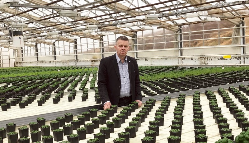 Mikil sala á afskornum blómum fyrir Valentínusar- og konudaginn