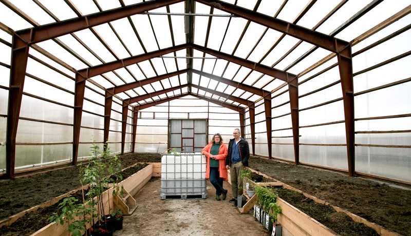 Eftirmál riðuveiki: Breyttu gömlu fjárhúsunum í gróðurhús