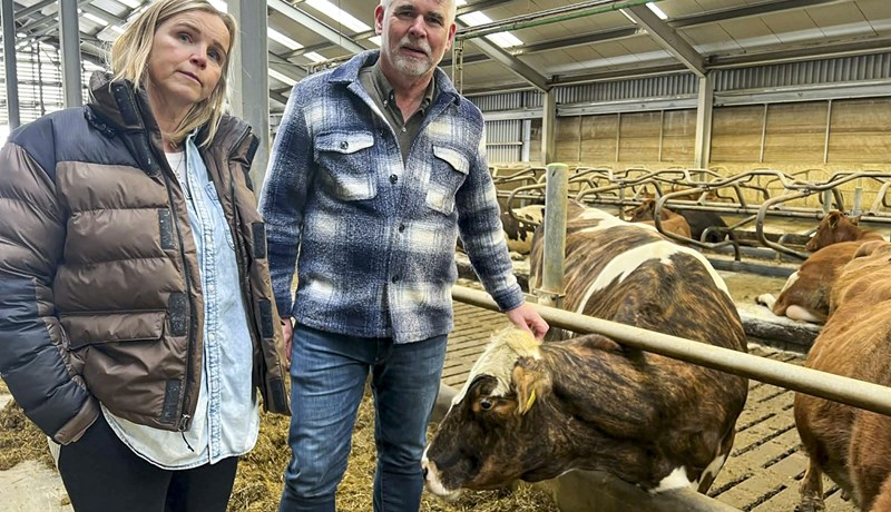 „Við höfum alltaf verið bjartsýn og það breytist ekkert“