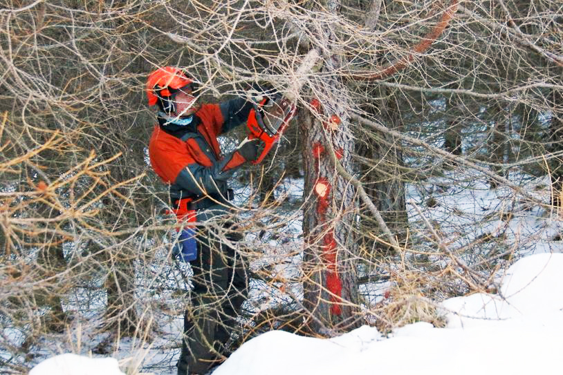 Fyrsti viðarfarmurinn sendur til Elkem