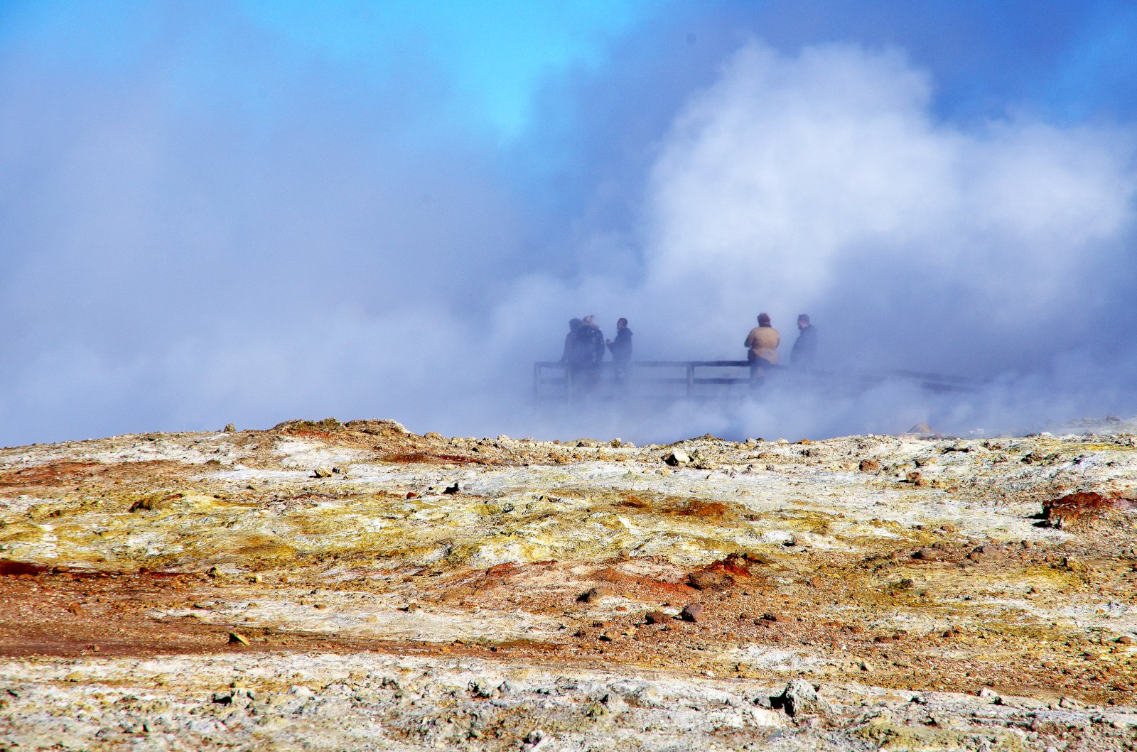 Hægt að losna að mestu við metangasmengun frá búfé