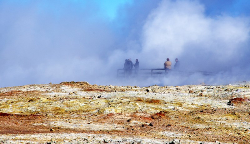 Hægt að losna að mestu við metangasmengun frá búfé
