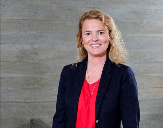 Vilja kanna hvort markaður sé fyrir hendi hér á landi