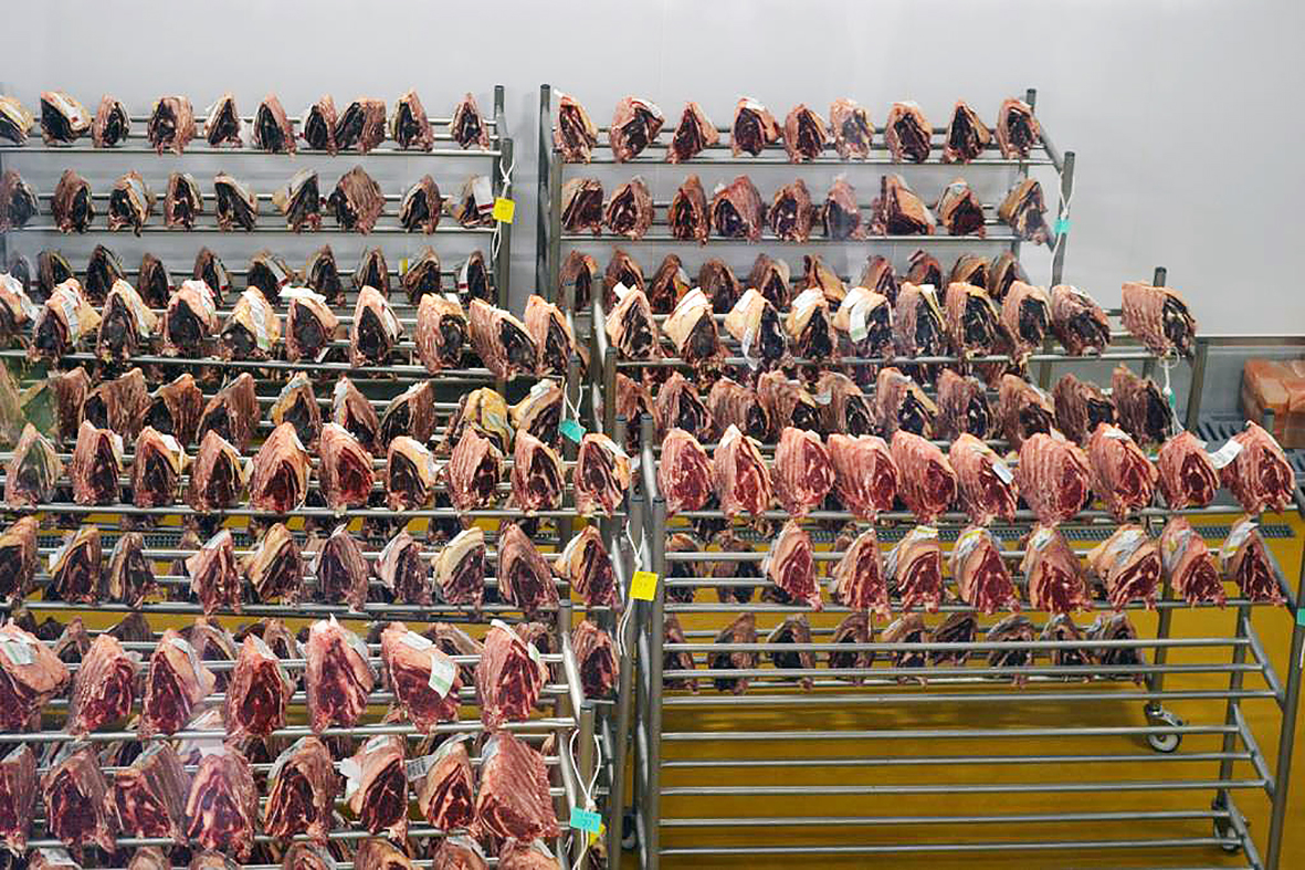 Fullkomnasta nautgripasláturhús í heimi – síðari hluti